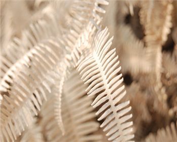 空氣改善需要靠污染源才能進(jìn)行轉(zhuǎn)移，這個(gè)真不能這樣下結(jié)論