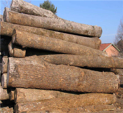 怎么樣才能打造出精致的木制托盤(pán)，以下這些是重點(diǎn)